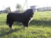 Превью фото № 235833