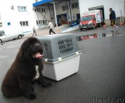 Превью фото № 235842