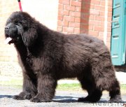 Превью фото № 235855