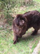 Превью фото № 235867