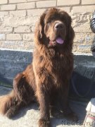 Превью фото № 235872