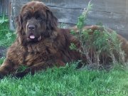 Превью фото № 235874