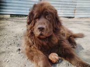 Превью фото № 235879