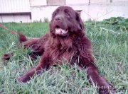 Превью фото № 235880