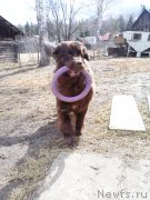 Превью фото № 235884