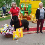 Превью фото № 235897