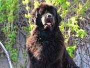 Превью фото № 235901