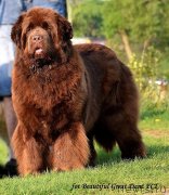 Превью фото № 235906