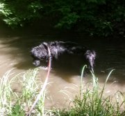 Превью фото № 235917