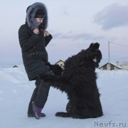 Превью фото № 235928