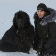 Превью фото № 235930