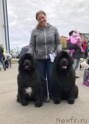 Превью фото № 235953