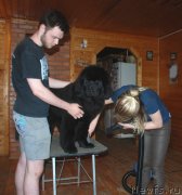 Превью фото № 236057