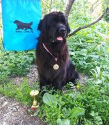 Превью фото № 236064