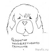 Превью фото № 236077