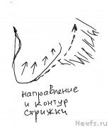 Превью фото № 236078