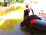 Превью фото № 236095