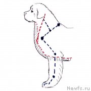 Превью фото № 236120