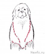 Превью фото № 236122