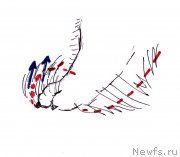 Превью фото № 236124