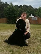 Превью фото № 236143