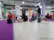 Превью фото № 236149