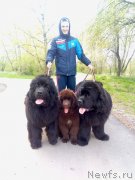 Превью фото № 236151