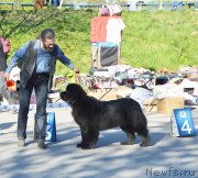 Превью фото № 236233