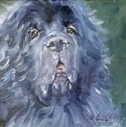 Превью фото № 236284