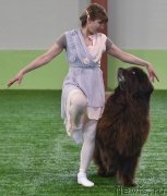 Превью фото № 236354