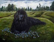 Превью фото № 236377