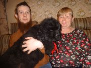 Превью фото № 236381