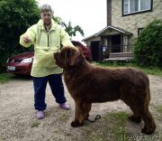 Превью фото № 236385