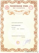 Превью фото № 236399