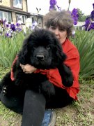 Превью фото № 236408