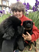 Превью фото № 236409