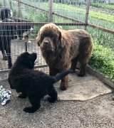 Превью фото № 236410