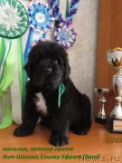 Превью фото № 236427