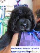 Превью фото № 236430