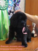 Превью фото № 236432