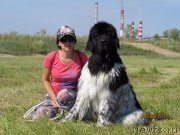 Превью фото № 236435