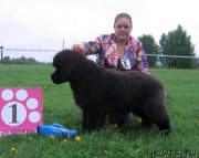 Превью фото № 236470