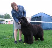 Превью фото № 236474