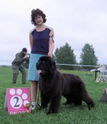 Превью фото № 236476