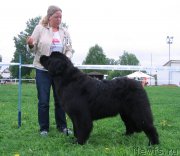 Превью фото № 236480