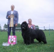 Превью фото № 236489