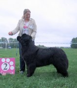 Превью фото № 236493