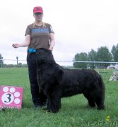 Превью фото № 236494