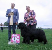 Превью фото № 236495