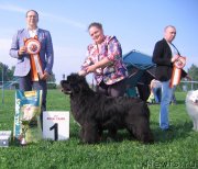 Превью фото № 236500